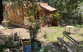 Cabane bambou
